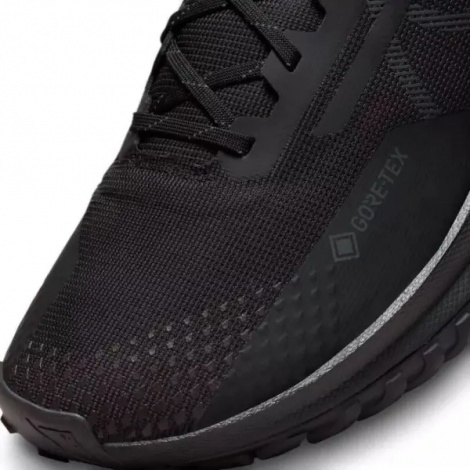 Кросівки для трейлранінгу Nike REACT PEGASUS TRAIL 4 GORE-TEX V2 чорні HM9728-002