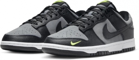 Кроссовки Nike DUNK LOW серо-черные FQ2205-001
