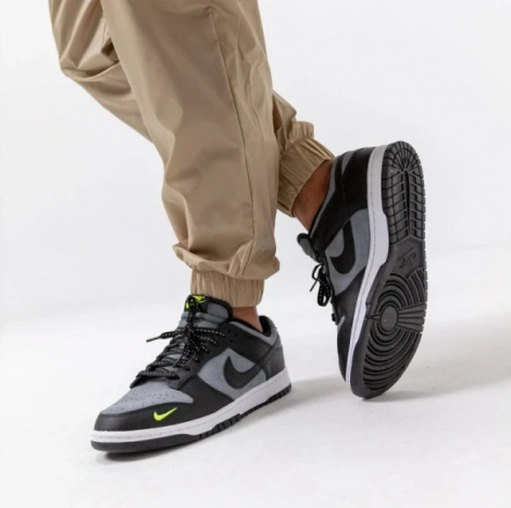 Кроссовки Nike DUNK LOW серо-черные FQ2205-001