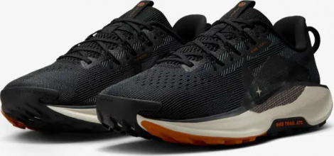 Кросівки для трейлранінгу Nike REACTX PEGASUS TRAIL 5 чорно-коричневі DV3864-006