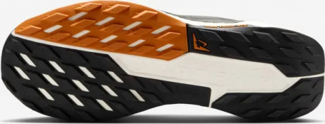 Кросівки для трейлранінгу Nike REACTX PEGASUS TRAIL 5 чорно-коричневі DV3864-006