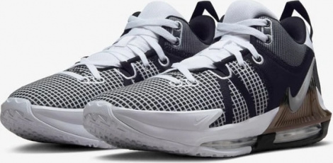 Кроссовки баскетбольные Nike LEBRON WITNESS VI черно-бело-серебряные DM1123-100