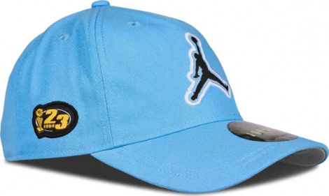 Кепка подростковая Nike JORDAN CURVED BRIM голубая 9A9086-B9F