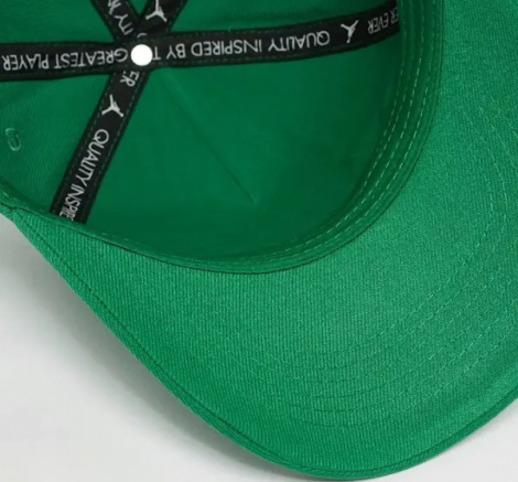 Кепка підліткова Nike JORDAN SIGNATURE CURVED BRIM зелена 9A9028-E1P