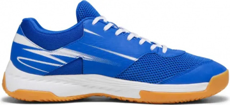 Кроссовки для зала Puma VARION II INDOOR синие 107341-03