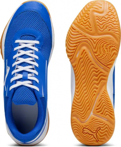 Кроссовки для зала Puma VARION II INDOOR синие 107341-03