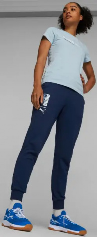 Кроссовки для зала Puma VARION II INDOOR синие 107341-03