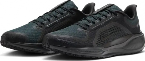 Кроссовки беговые Nike PEGASUS 41 GORE-TEX черные FQ1356-001