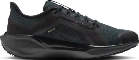 Кроссовки беговые Nike PEGASUS 41 GORE-TEX черные FQ1356-001