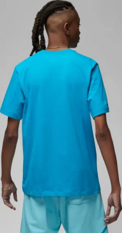 Футболка Nike JORDAN ESSENTIALS блакитна DX9581-483