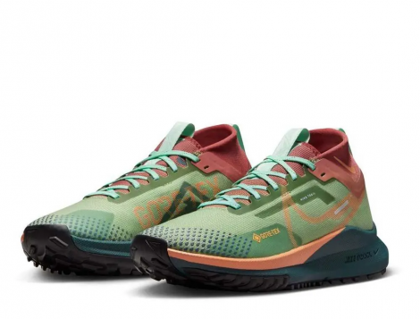 Кросівки Nike Pegasus Trail 4 Gtx