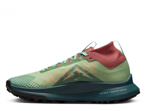 Кросівки Nike Pegasus Trail 4 Gtx