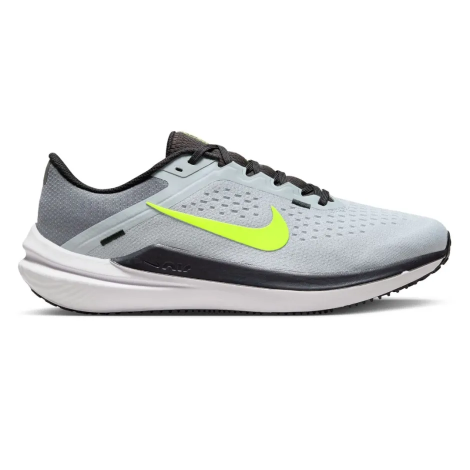 Кросівки Nike Winflo 10