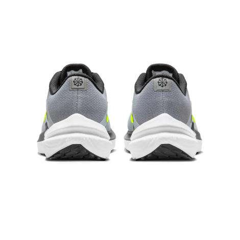 Кросівки Nike Winflo 10