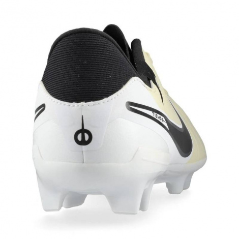 Бутси Nike Legend 10 Academy Fg/Mg