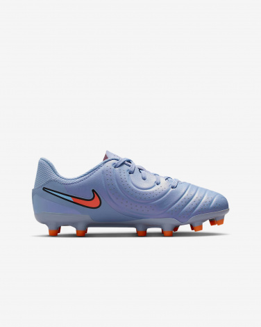 Бутсы Nike Jr Legend 10 Academy Fg/Mg