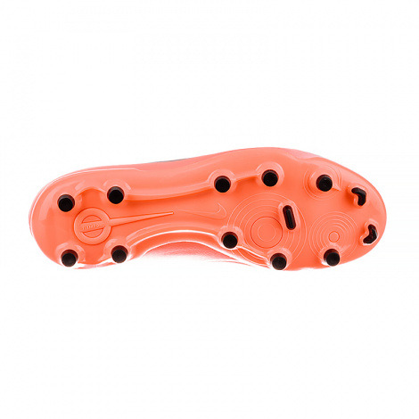 Бутсы Nike Jr Legend 10 Academy Fg/Mg