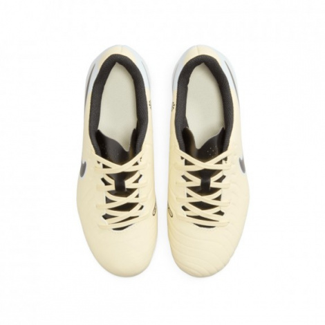 Бутсы Nike Jr Legend 10 Club Fg/Mg
