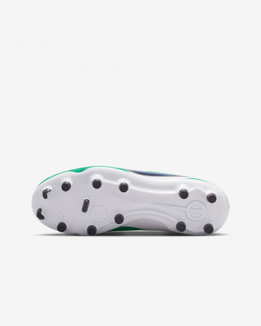 Бутсы Nike Jr Legend 10 Academy Fg/Mg Lv8