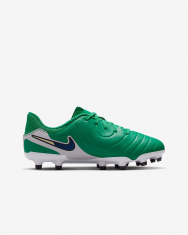 Бутсы Nike Jr Legend 10 Academy Fg/Mg Lv8