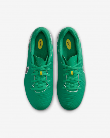 Бутсы Nike Jr Legend 10 Academy Fg/Mg Lv8
