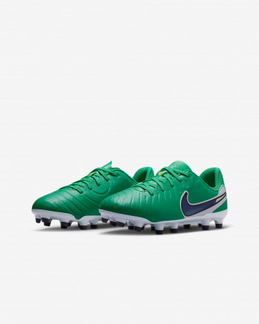 Бутсы Nike Jr Legend 10 Academy Fg/Mg Lv8