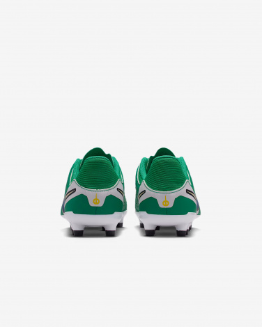 Бутсы Nike Jr Legend 10 Academy Fg/Mg Lv8