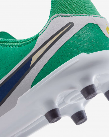 Бутсы Nike Jr Legend 10 Academy Fg/Mg Lv8