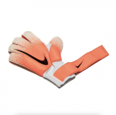 Вратарские Перчатки Nike Premier SGT 100