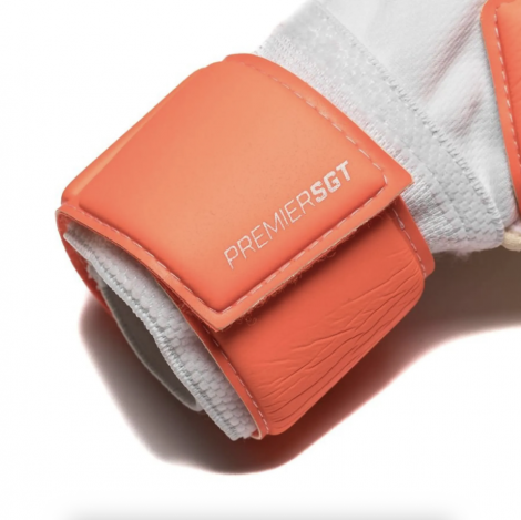 Вратарские Перчатки Nike Premier SGT 100