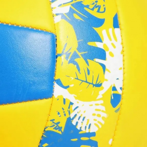 М'яч для пляжного волейболу Pro Touch IPANAYA 50 жовто-синій