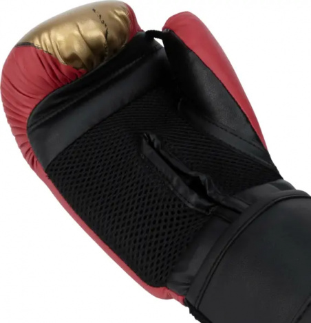 Рукавички боксерські дитячі Everlast PROSPECT 2 BOXING GLOVES червоно-золоті (8 унцій) P00002974