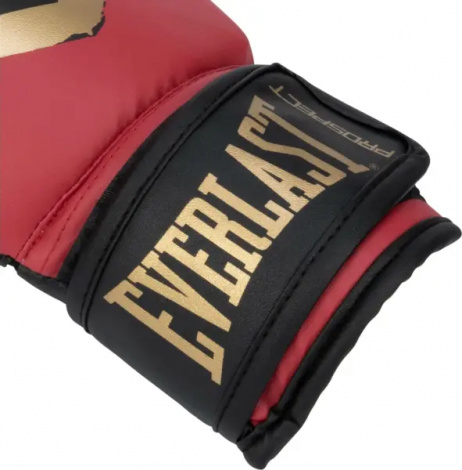 Рукавички боксерські дитячі Everlast PROSPECT 2 BOXING GLOVES червоно-золоті (8 унцій) P00002974