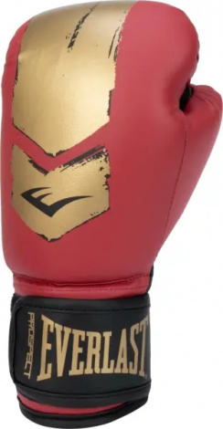 Рукавички боксерські дитячі Everlast PROSPECT 2 BOXING GLOVES червоно-золоті (6 унцій) P00002973