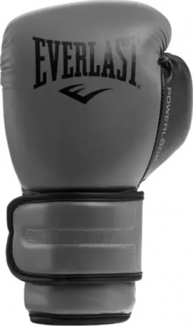 Перчатки боксерские Everlast POWERLOCK 2R TRAINING GLOVES серые (14 унций) P00002306