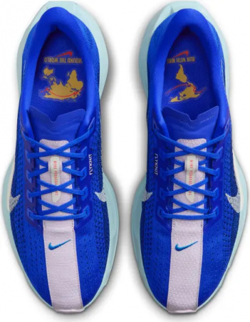 Кросівки бігові Nike PEGASUS PLUS синьо-світло-сірі HQ1719-400