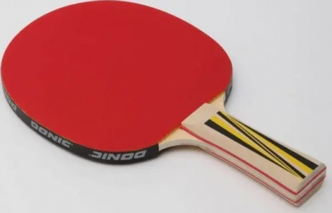 Набір для настільного тенісу Donic TOP TEAM 500 (ракетка, чохол і 4 м'ячі) світло-коричнево-білий 788451