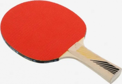 Ракетка для настільного тенісу Donic LEGENDS 200 FSC світло-коричнева 705221