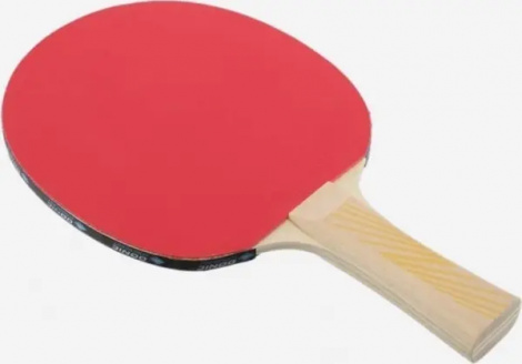 Ракетка для настільного тенісу Donic LEGENDS 150 FSC світло-коричнева 705211