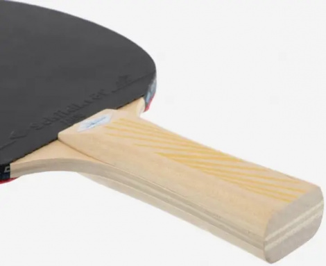 Ракетка для настільного тенісу Donic LEGENDS 150 FSC світло-коричнева 705211