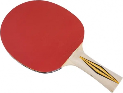 Ракетка для настільного тенісу Donic TOP TEAMS 300 світло-коричнева 705031