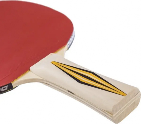 Ракетка для настільного тенісу Donic TOP TEAMS 300 світло-коричнева 705031
