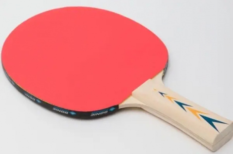 Ракетка для настільного тенісу Donic APPELGREN LINE 300 світло-коричнева 703003