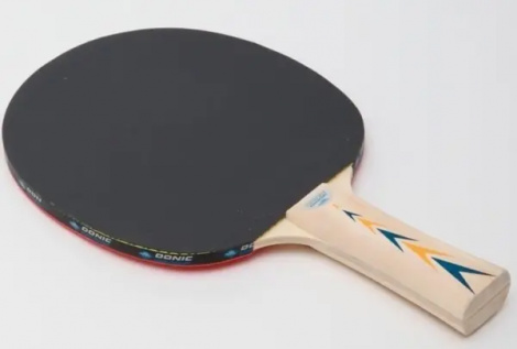 Ракетка для настільного тенісу Donic APPELGREN LINE 300 світло-коричнева 703003