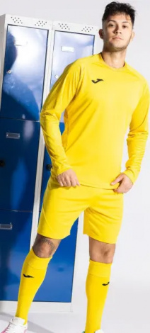 Комплект воротарської форми Joma ZAMORA X жовтий 104407.930