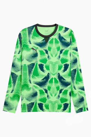 Вратарская кофта Puma teamTarget - зеленый