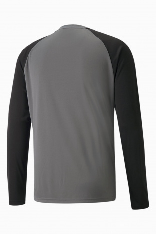 Вратарская кофта Puma teamPACER GK LS - серый