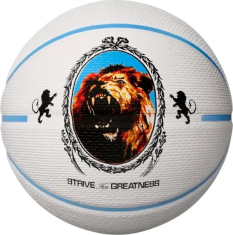 Баскетбольний м'яч Nike PLAYGROUND 2.0 8P L JAMES DEFLATED біло-блакитний