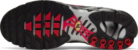 Кроссовки Nike AIR MAX PLUS темно-серо-черно-красные DJ0638-001