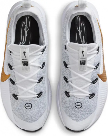 Кроссовки для тренировок Nike LEBRON TR 1 бело-золотые FJ6151-006